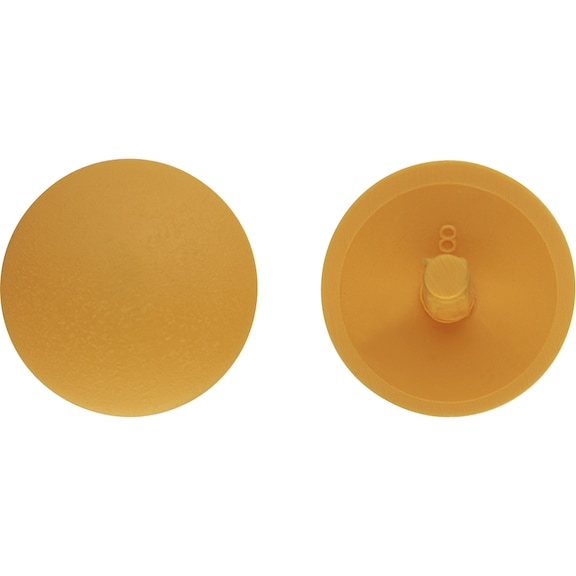 Cover cap for chipboard screw with head recess bore - 5