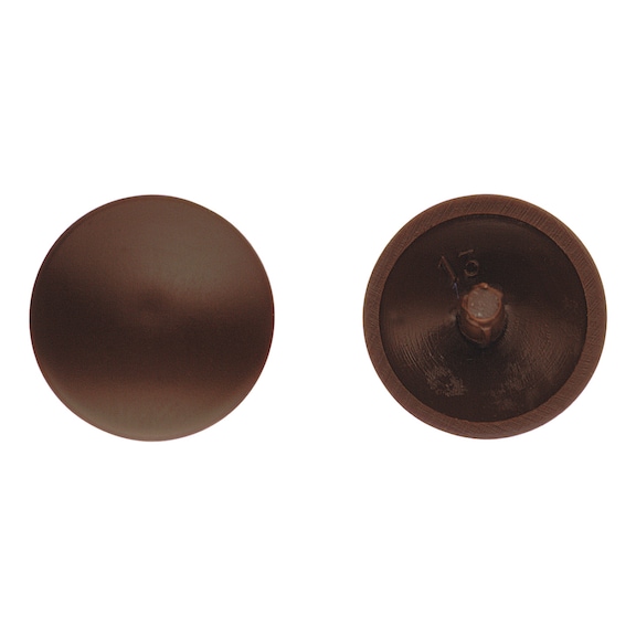 Cover cap for chipboard screw with head recess bore - 2