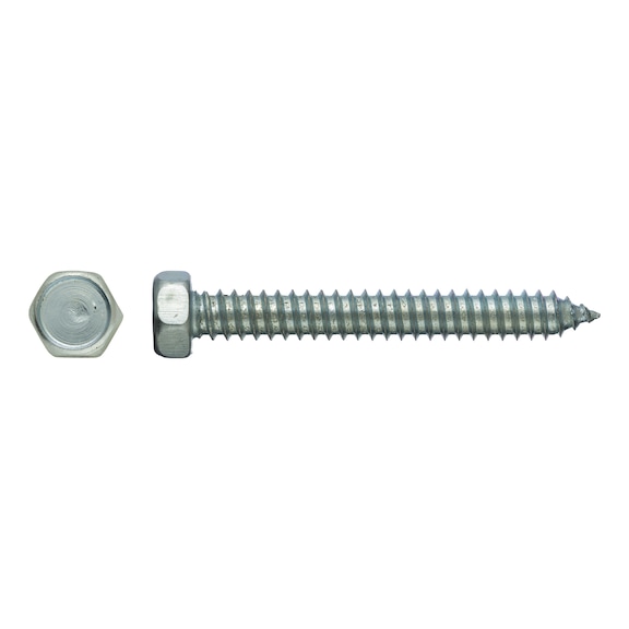 Hexagon head tapping screw, DIN 7976, zinc plated, type C - 1