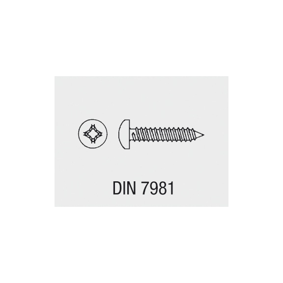 VISO assortment tapping screws DIN 7981  - 2