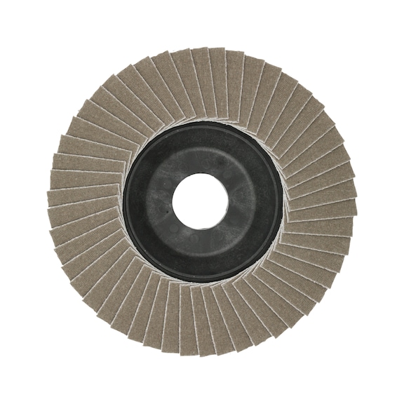 Inox-mop flap discs - 2