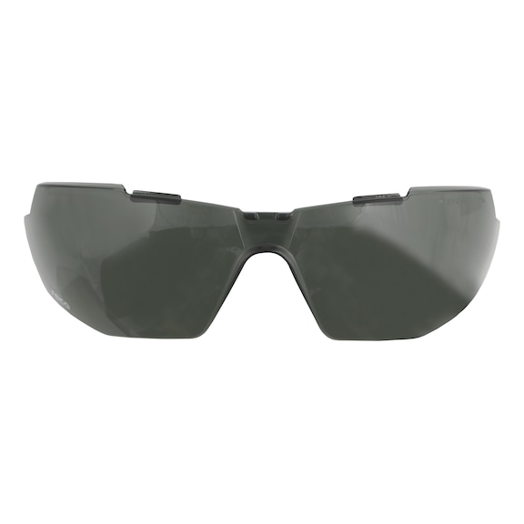 Gafas de seguridad con montura 5X1 - Lente de repuesto 5X1, gris, protección UV 400, AB+, AK+, caja de microfibra