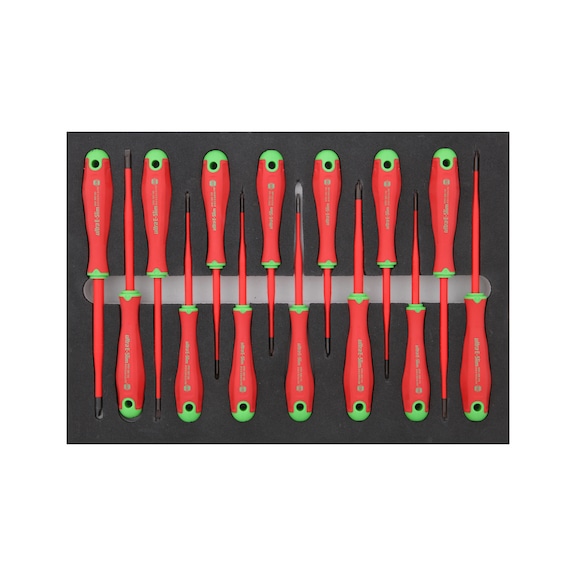 Inlett ultra E-Slim VDE TX/PH/PZ/SL - RECA Inlett ultra E-Slim VDE TX/PH/PZ/SL unbestückt, Schraubendreher 283x396 mm