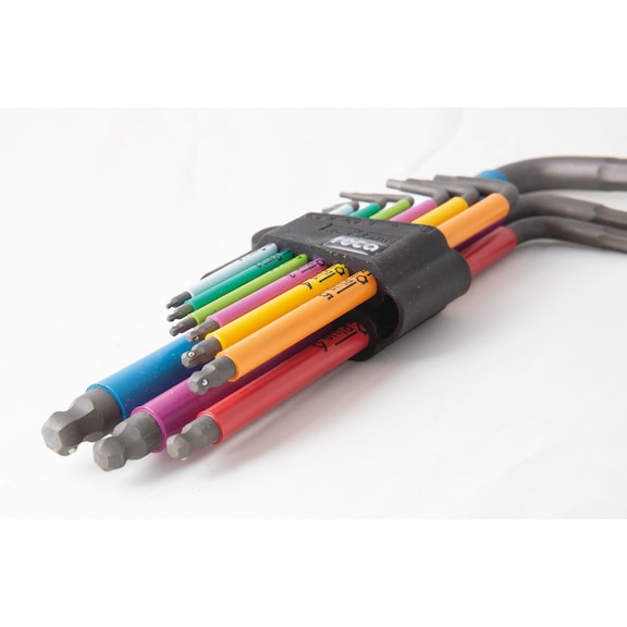 RECA Stiftschlüsselsatz Hex-Plus  mit Haltefunktion HF - 5