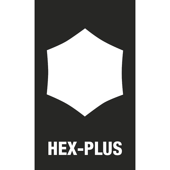 RECA Stiftschlüsselsatz INOX Hex-Plus 9-teilig - 10