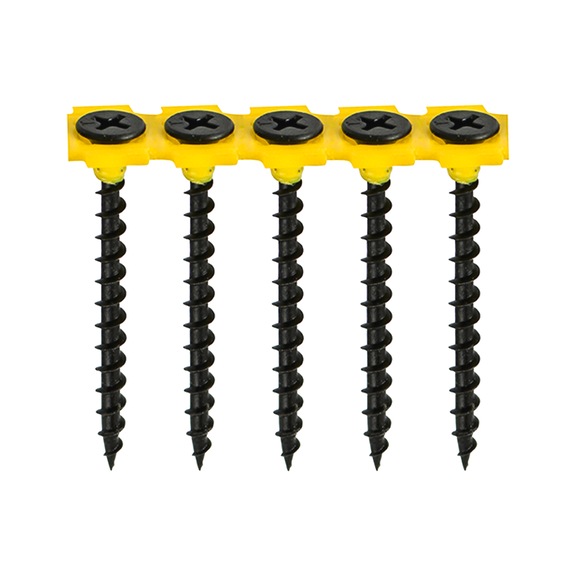 Drywall screw coarse thread collated