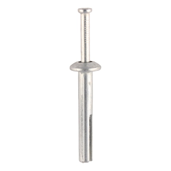 Metal nail in anchor - METAL NAIL IN ANCHOR    6MM X 40MM