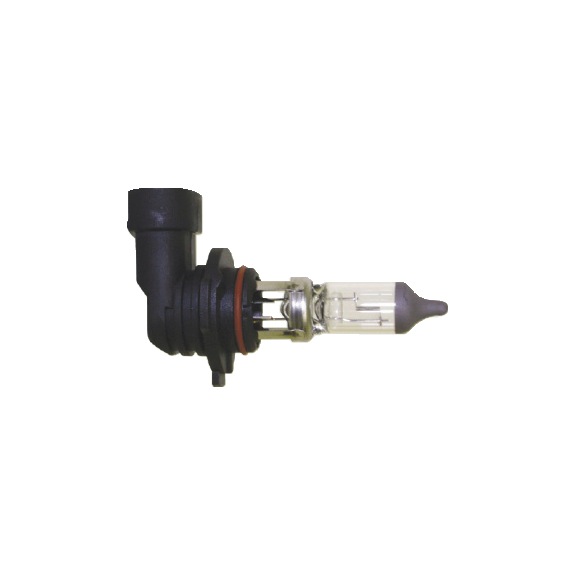 BULB H10 12V