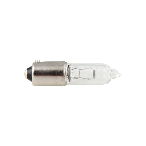 BULB H21 24V