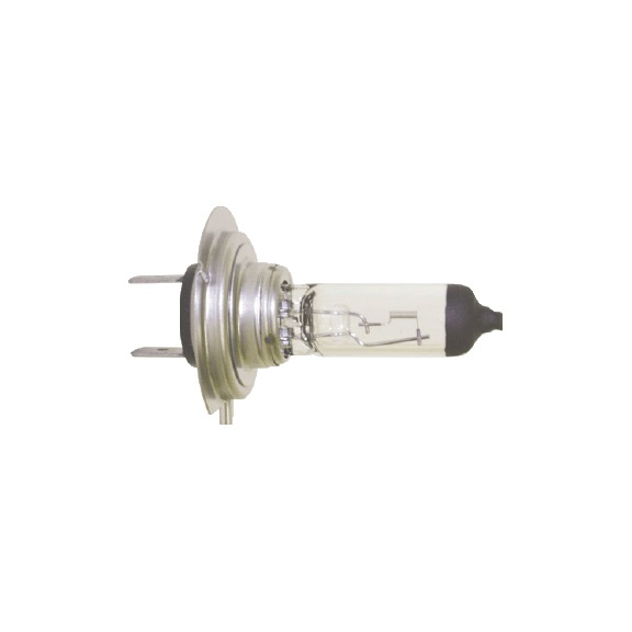 BULB H7 12V