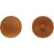 Cover cap for chipboard screw with head recess bore - Cover cap for particle board screw, RAL 8007, plastic, fawn brown, Ø 12 - 3