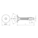 FINE THREAD EXTRA LARGE HEAD SELF-DRILLING SCREW WITH WINGS - 2