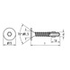 FINE THREAD SELF-DRILLING SCREW WITH WINGS - 2