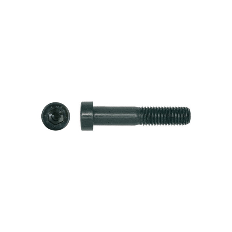 Cheese head screw, DIN 6912, 8.8, plain - 1