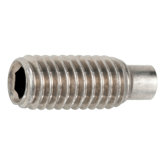 Set screw, hex socket, dog point - ISO 4028 21H A2 M10X16