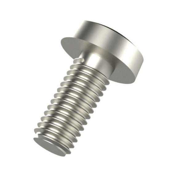 Screw set RS MEK VM  Electro galvanized, Meka