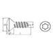 Tapping screw raised countersunk head ISO 14587-C - SCR-RSDCS-ISO14587-C-TX20-A4-4,2X25 - 2