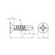 Drilling screw countersunk head DIN 7504-P - PIAS DIN 7504-P ZP 4,2X13 - 2