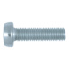 Slotted screw Pan head ISO 14583 - ISO 14583 8.8 TX20 ZP M4X10 - 1