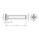 Slotted screw raised countersunk head DIN 966 - DIN 966 4.8 PH ZP M3X5 - 2