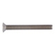 Slotted screw countersunk head ISO 14581 - ISO 14581 TX8 A4 M2,5X8 - 1
