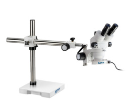 Stereo-Mikroskope mit Okulare