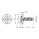 Fensterbankschraube mit Scheibe Blechschraubengewinde A2 TX - 2