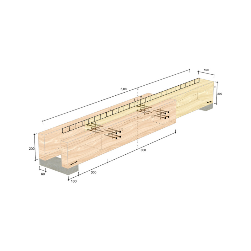 Holzbau - neue Anwendung Balkenkopfsanierung Für den statischen Nachweis im Sanierungsfall 