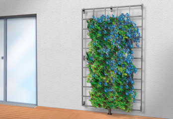 Teaser Rankgitter – an ungedämmter Fassade